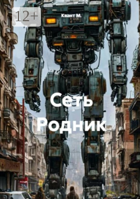 Сеть «Родник», Квант М.