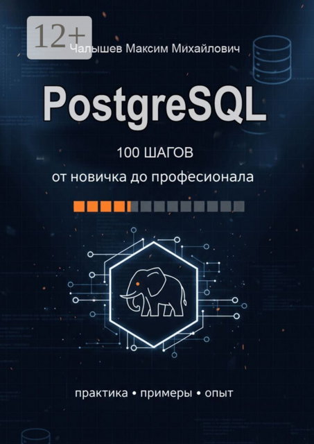 PostgreSQL. Сто шагов от новичка до профессионала. Практика, примеры, опыт