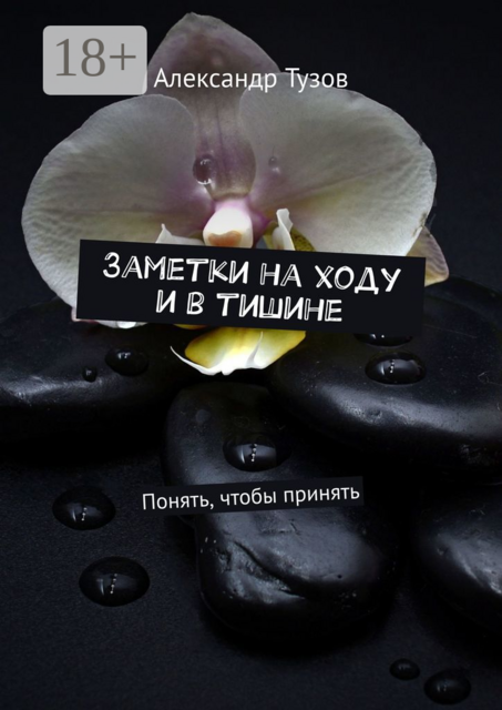 Заметки на ходу и в тишине. Понять, чтобы принять, Александр Тузов