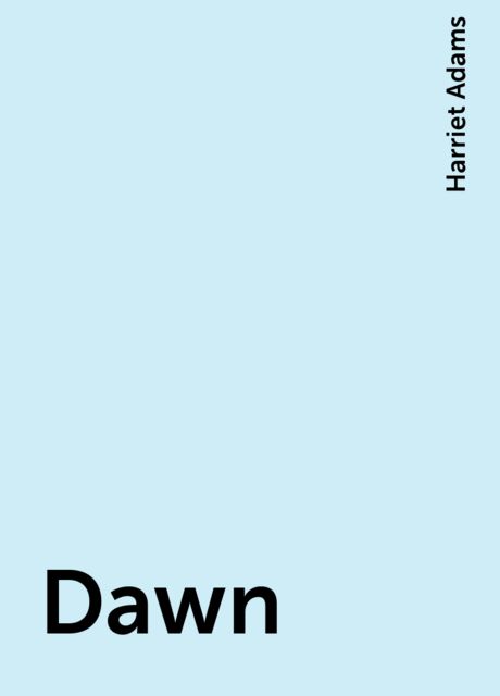 Dawn