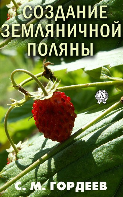 Создание земляничной поляны
