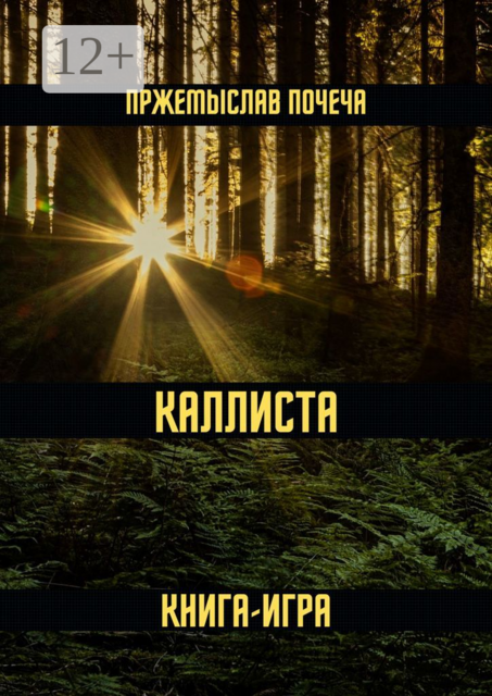 Каллиста. Книга-игра, Пржемыслав Почеча