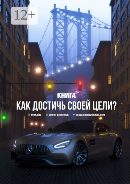 Как достичь своей цели, Книга SHY
