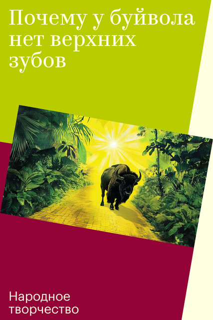 Почему у буйвола нет верхних зубов