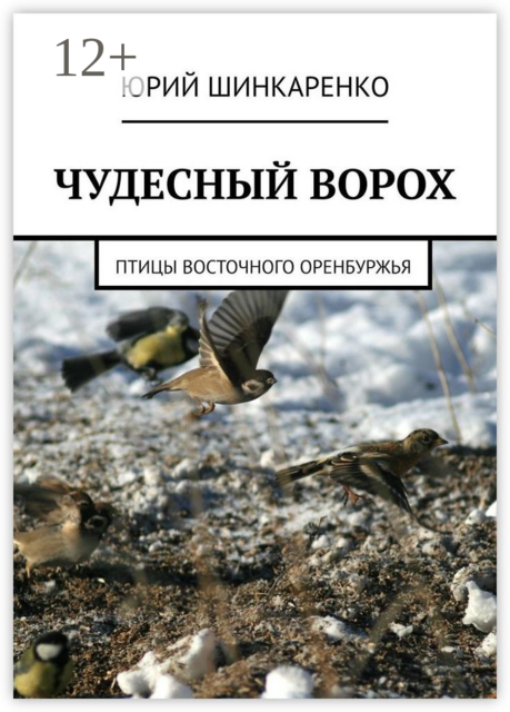 ЧУДЕСНЫЙ ВОРОХ. Птицы Восточного Оренбуржья