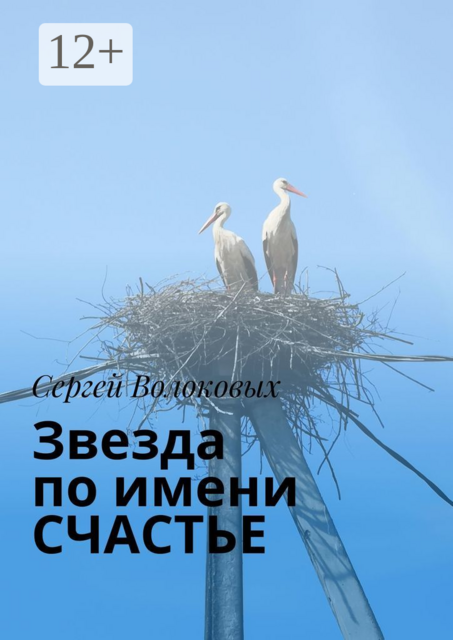 Звезда по имени СЧАСТЬЕ, Сергей Волоковых