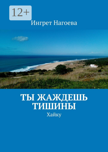 Ты жаждешь тишины. Хайку