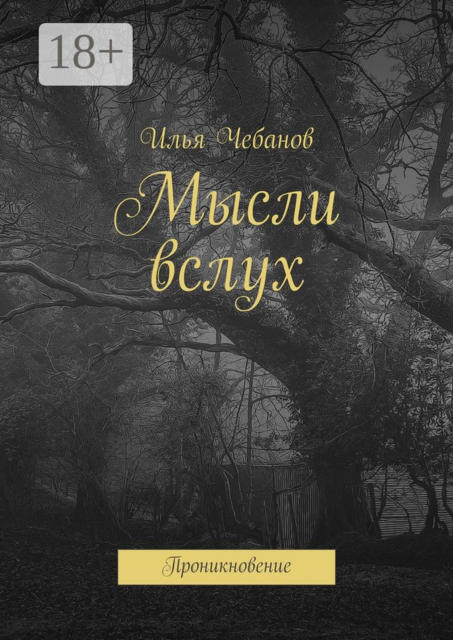 Мысли вслух. Проникновение