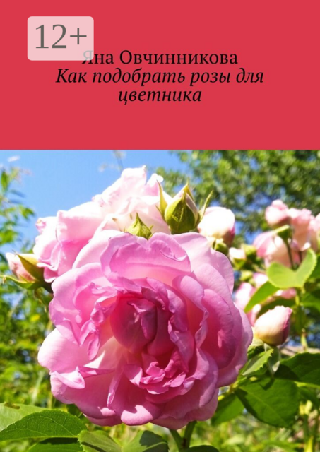 Как подобрать розы для цветника