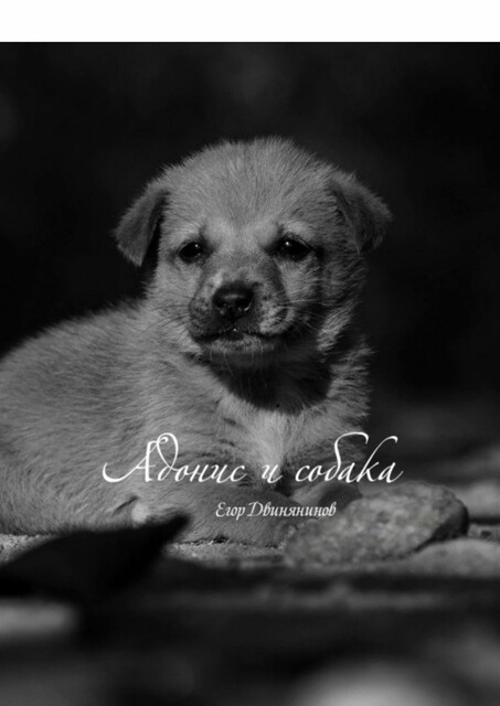 Адонис и собака, Егор Двинянинов