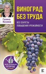 Мой ленивый огород