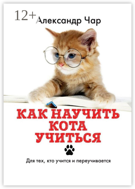 Как научить кота учиться. Для тех, кто учится и переучивается