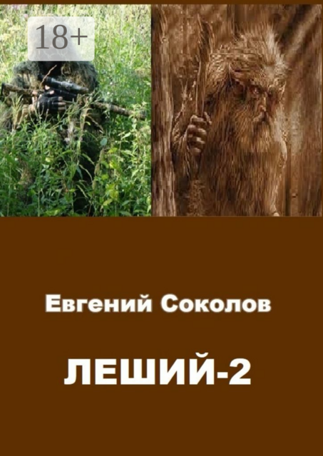 Леший-2, Евгений Соколов