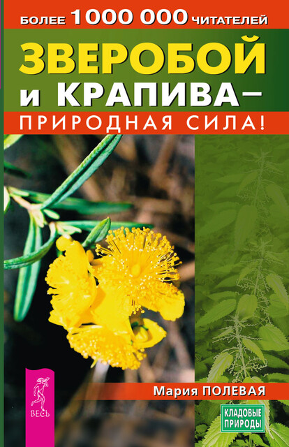 Зверобой и крапива — природная сила, Мария Полевая