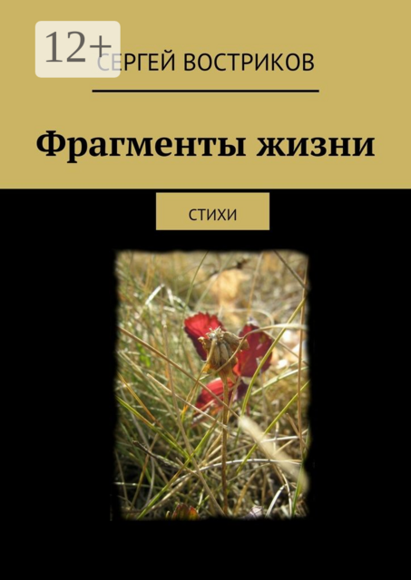Фрагменты жизни