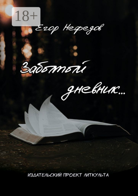 Забытый дневник