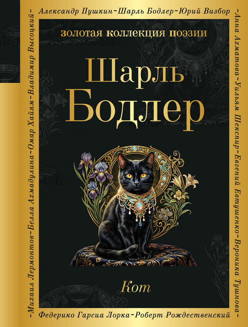Кот