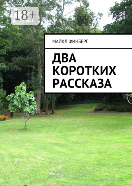 Два коротких рассказа, Майкл Финберг