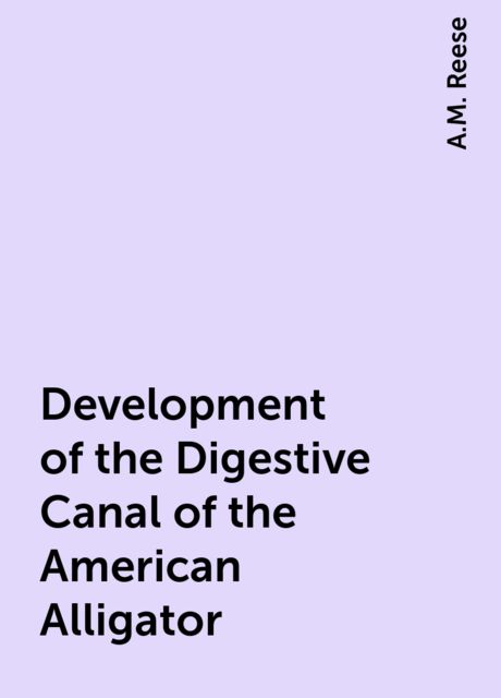 Development of the Digestive Canal of the American Alligator