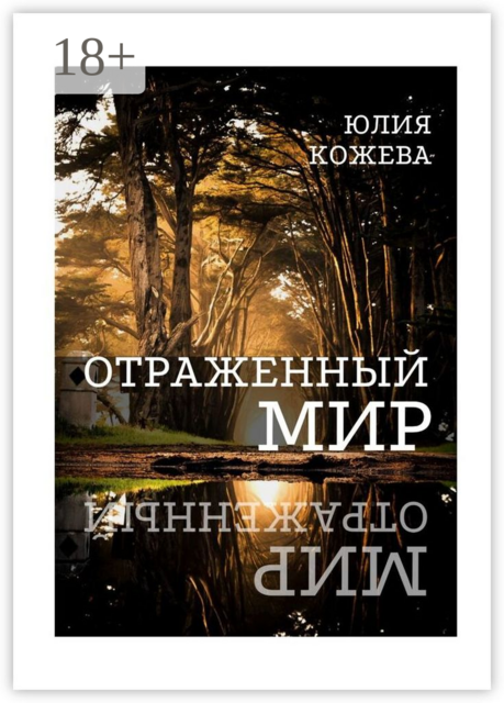 Отраженный мир