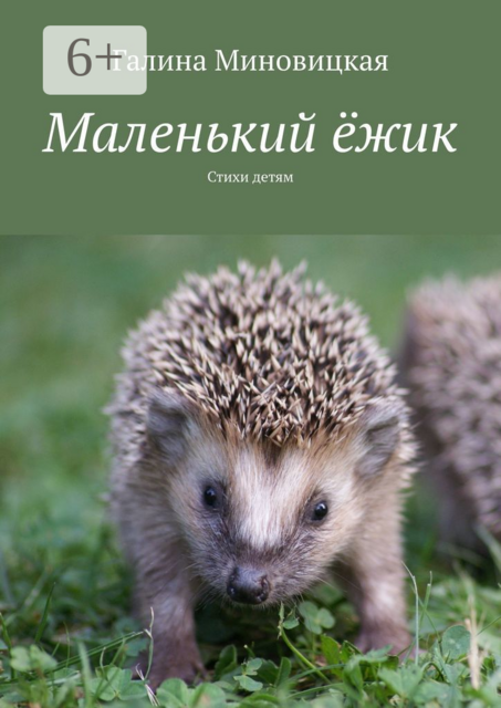 Маленький ёжик