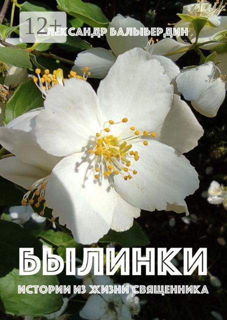 Былинки. Истории из жизни священника