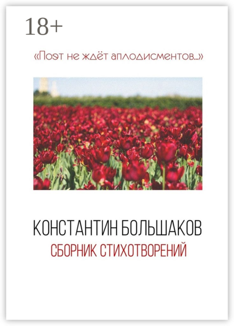 Поэт не ждёт аплодисментов