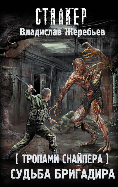 Тропами Снайпера. Судьба Бригадира, Владислав Жеребьёв