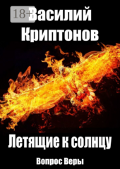 Летящие к Солнцу