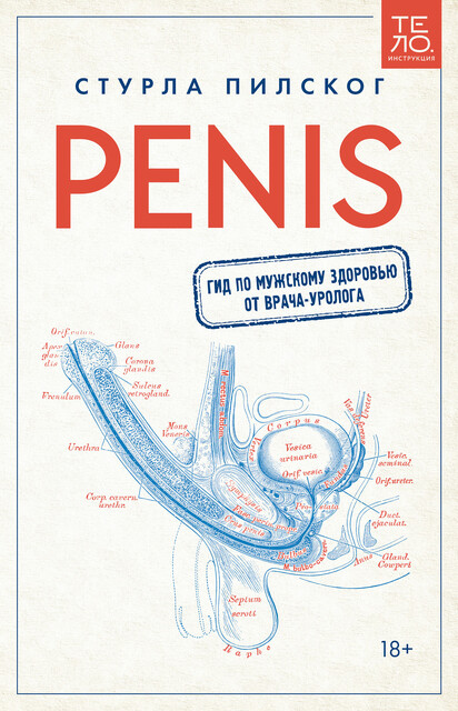 Penis. Гид по мужскому здоровью от врача-уролога, Стурла Пилског