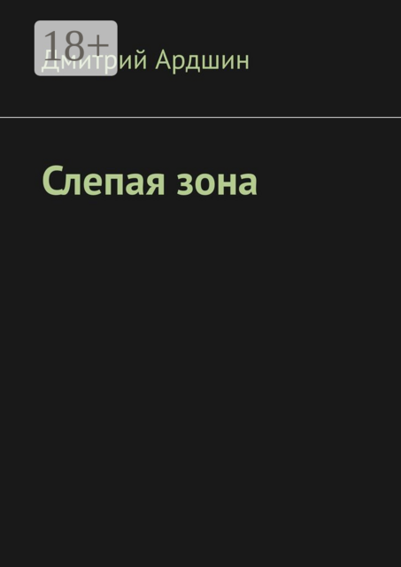 Слепая зона, Дмитрий Ардшин