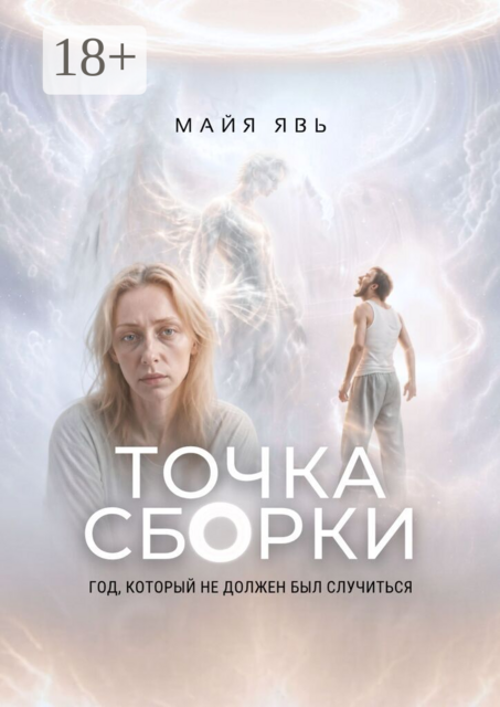 Точка сборки