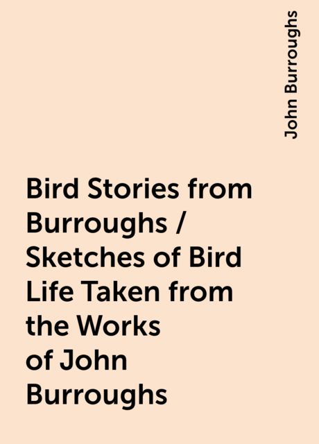 Bird Stories from Burroughs / Sketches of Bird Life Taken from the Works of John Burroughs