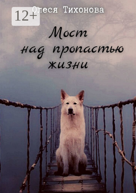 Мост над пропастью жизни