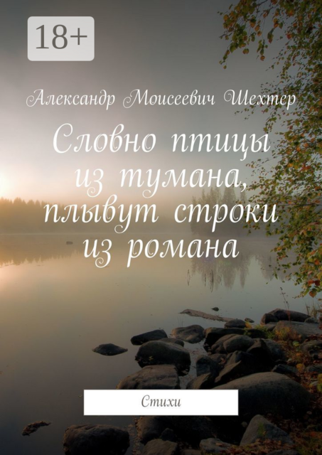 Словно птицы из тумана, плывут строки из романа
