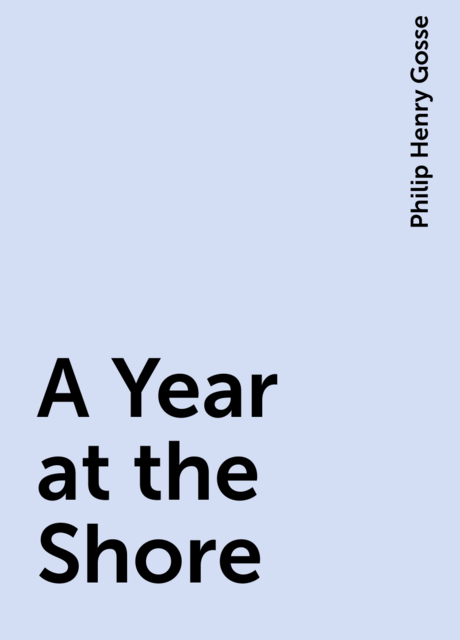 A Year at the Shore