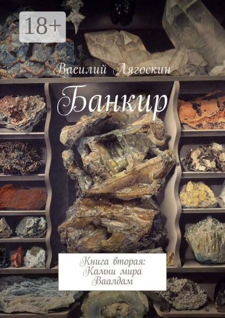 Банкир. Книга вторая: Камни мира Ваалдам