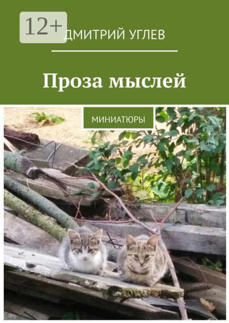 Проза мыслей. Миниатюры