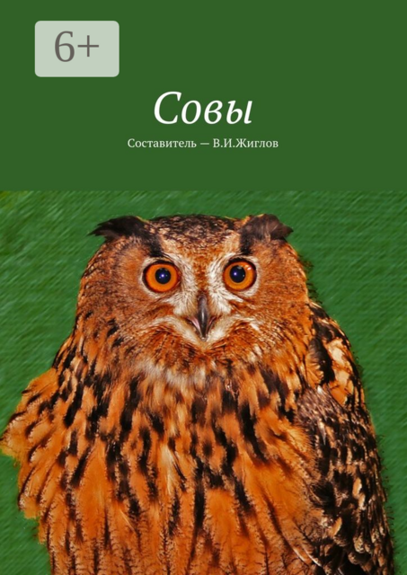 Совы, 