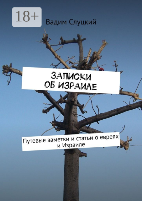 Записки об Израиле. Путевые заметки и статьи о евреях и Израиле