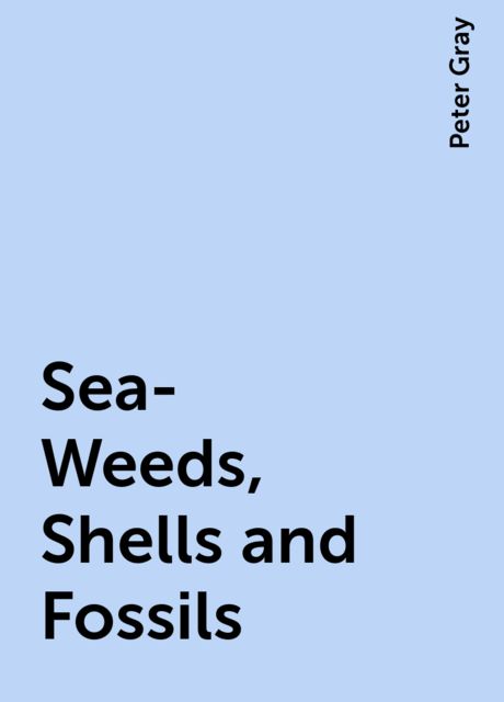 Sea-Weeds, Shells and Fossils