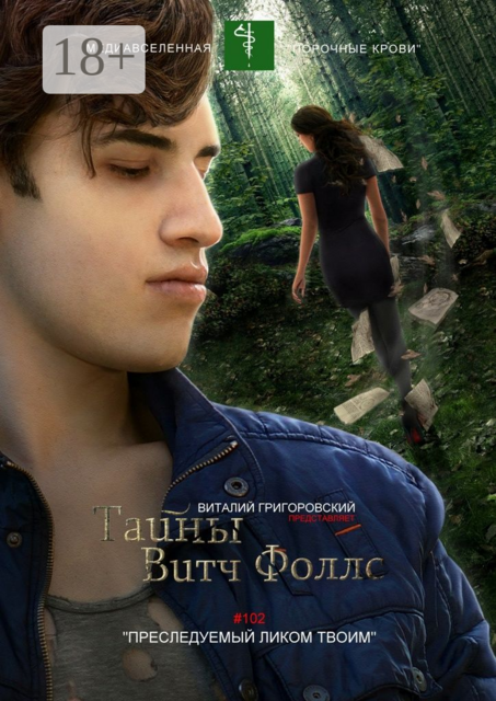 Тайны Витч Фоллс. #102 «Преследуемый ликом твоим»