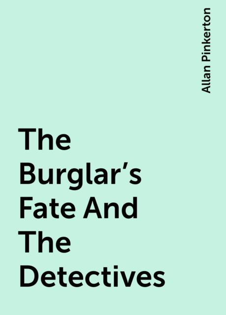 The Burglar's Fate And The Detectives