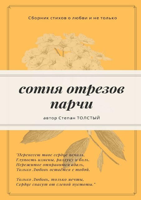 Сотня отрезов парчи, Степан Толстый