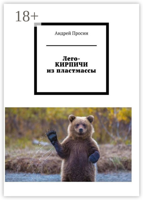 Лего-КИРПИЧИ из пластмассы, Андрей Просин