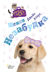 Доктор Кот