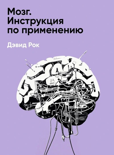 Мозг. Инструкция по применению: Как использовать свои возможности по максимуму и без перегрузок (краткое изложение), Дэвид Рок