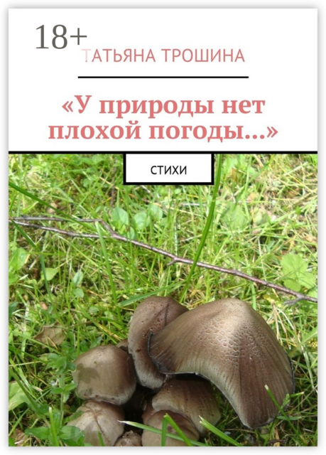 «У природы нет плохой погоды...»