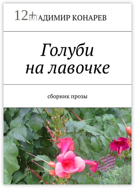 Голуби на лавочке