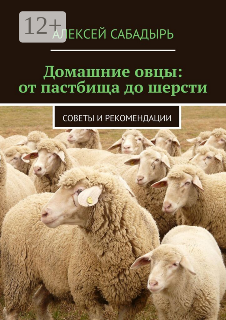 Домашние овцы: от пастбища до шерсти. Советы и рекомендации